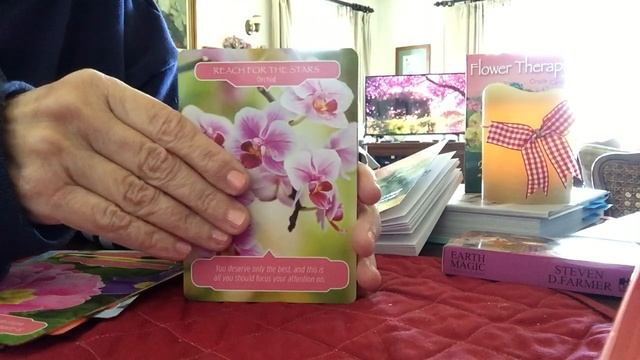 Ad-free ASMR; Oracle Cards reading - soft spoken смотреть онлайн