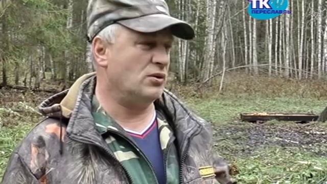 Дикие звери в объективе видео-камеры. смотреть онлайн