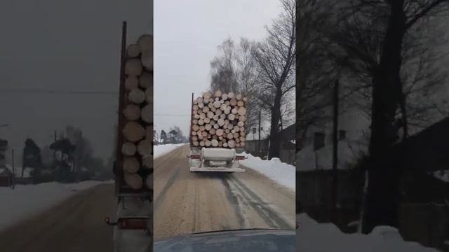лес реально зимней заготовки! смотреть онлайн