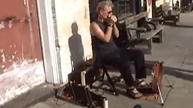 Gussow one-man Mississippi blues band, busking (2009) смотреть онлайн
