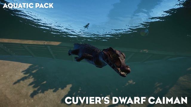 ▶ All 153 Planet Zoo Animals & Babies | Every Planet Zoo Pack Included | Complete Guide смотреть онлайн