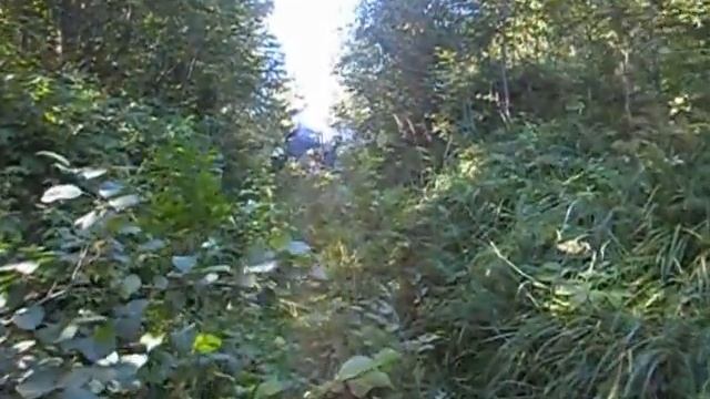каракат крутой подъём смотреть онлайн