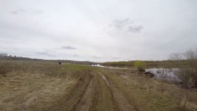 Первомайский шашлык у реки Клязьма смотреть онлайн