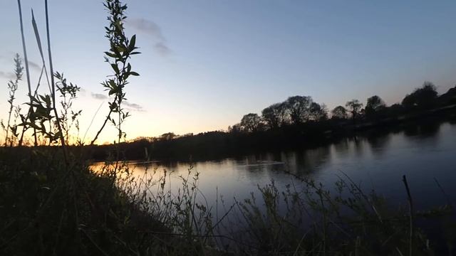 Речные бобры 1 смотреть онлайн