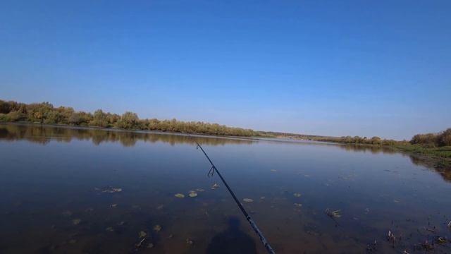 Налим на джиг! Атаки пассивного ОКУНЯ !Рыбалка осенью! Спиннинг на Оке! смотреть онлайн