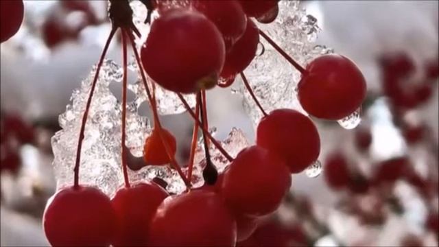 ЗИМНЯЯ ВИШНЯ смотреть онлайн