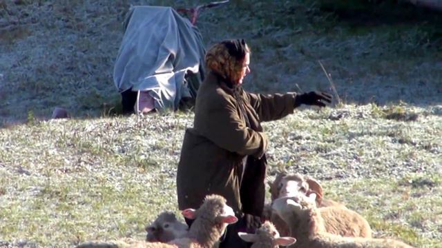 Пять дней до зимы 2014 г смотреть онлайн