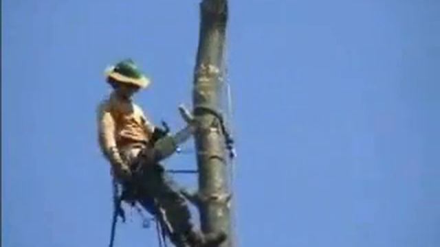 tinaxe tin amigdalia.wm смотреть онлайн