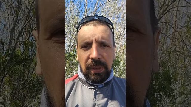 Шваб и его ДЖИ концепция смотреть онлайн