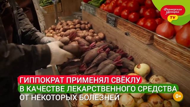 Интересные факты о свекле смотреть онлайн