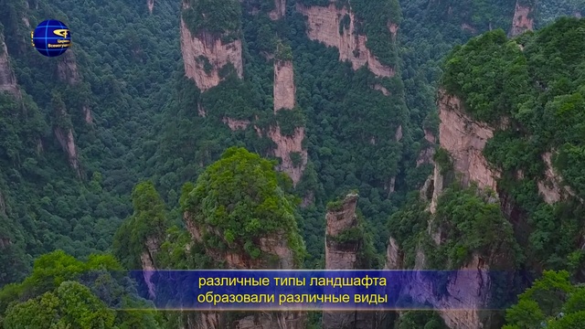 Голос Духа Святого «Сам Бог уникален. Часть IX Бог – источник жизни всего сущего (III)» Глава 1 смотреть онлайн