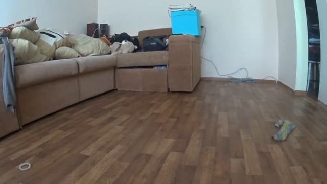 Перестановка мебели и любимая игра смотреть онлайн