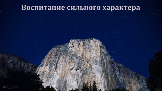 "Как воспитывать детей сильных духом". В. А. Широбоков. МСЦ ЕХБ смотреть онлайн