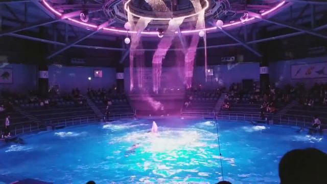 18.03.13
maxell AQUA PARK SHINAGAWA
【DOLPHIN🐬 PERFORMANCE】 смотреть онлайн