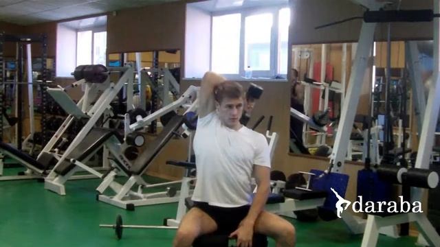 Разгибание рук сидя одной рукой (гантели) смотреть онлайн