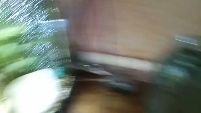 Пучеглазие и ерошение чешуи у неона смотреть онлайн