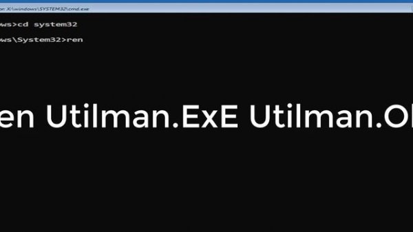 How To Reset Administrator Password Account Using CMD Windows Server 2022