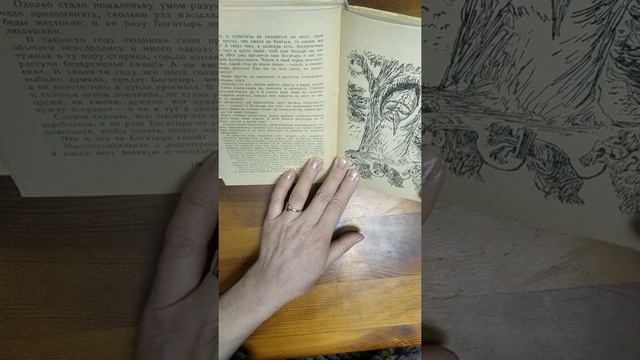 Сказки М.Е.Салтыков-Щедрин "Богатырь" смотреть онлайн