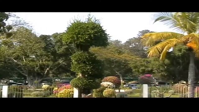 Северная улица Паттайи У Дельфинов