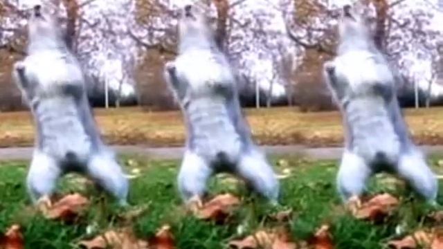 Samba de Janeiro Bellini смотреть онлайн