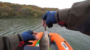 Корочанское водохранилище, щука осенью
