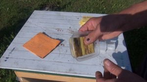 Копеечный испаритель муравьиной кислоты