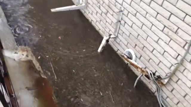 Чоглоковский залив. смотреть онлайн