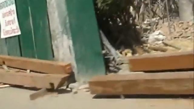 清邁Wat Chedi Luang смотреть онлайн