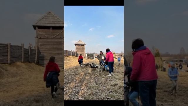 2022-10-20 смотреть онлайн