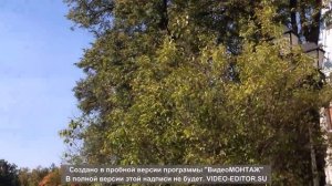 МОСКВА. УСАДЬБА ЦАРИЦЫНО.ПАРК МУЗЕЙ. ЦАРИЦЫНСКИЕ ПРУДЫ.