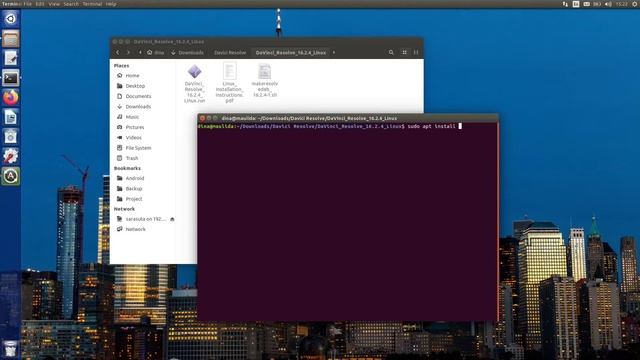 Davinci Resolve Ubuntu Installation | Best Professional Video Editing Software for Linux смотреть онлайн