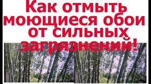 Как отмыть моющиеся обои от сильных загрязнений.