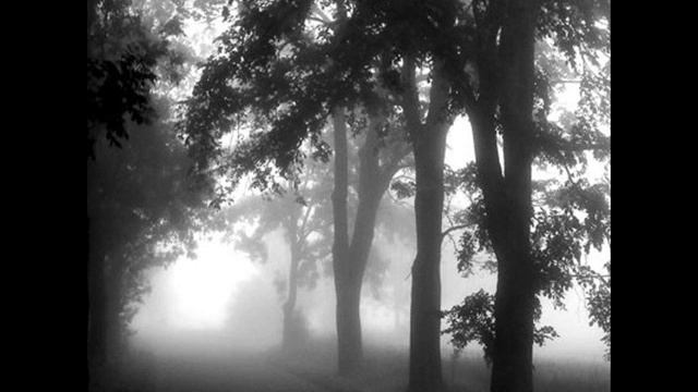 yeark-misty смотреть онлайн