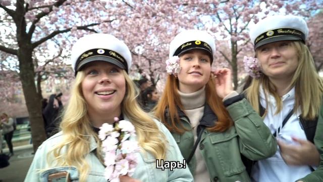 Что вы знаете о России? Отвечают прохожие в Швеции // ru.sweden.se смотреть онлайн