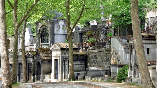 Не пускайте поэта в Париж. Вероника Долина.