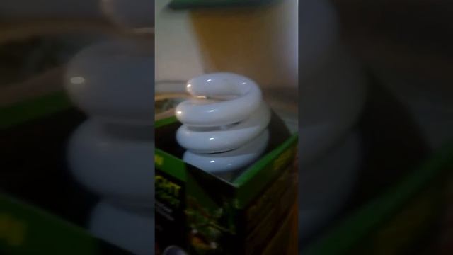 Красноухая Черепаха мои условия содержания. смотреть онлайн