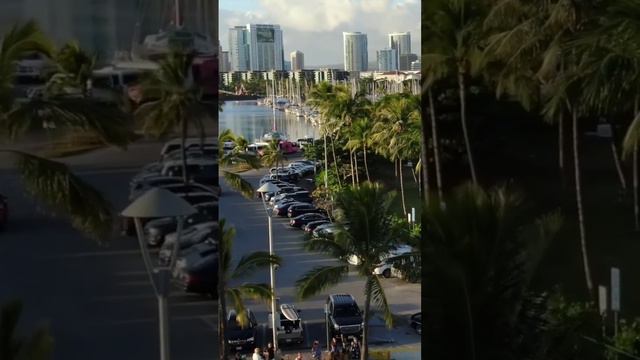 Гавайи смотреть онлайн