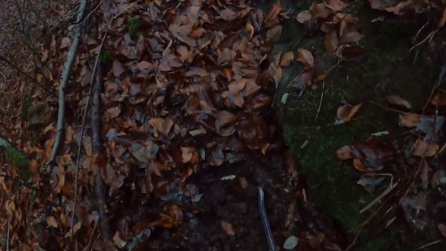 Kral Koltuğun Yanına Define Gizlenmiş!!!
#maceracı Defineci #defineci Deniz #tarihi Paralar