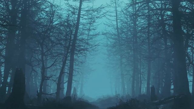 Walking Through a Haunted Forest - Creepy Forest Ambience - Spooky Forest ASMR смотреть онлайн
