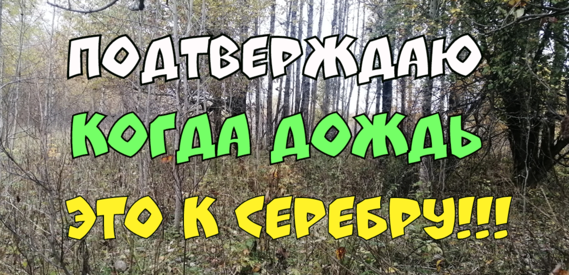 ПОДТВЕРЖДАЮ КОГДА ДОЖДЬ ЭТО К СЕРЕБРУ. ПОИСК СТАРИНЫ С ЭКВИНОКС 800.