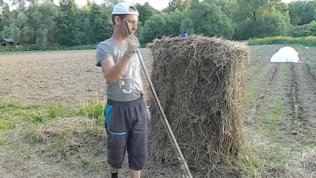 Мульчирование клубники соломой смотреть онлайн