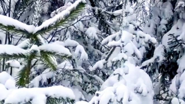 578.ЗАГОВОР НА СВОЮ ВЕЩЬ,КОТОРУЮ ОТДАЁТЕ смотреть онлайн