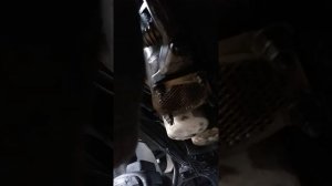 Промывка теплообменника маз 5440а9 мой косяк