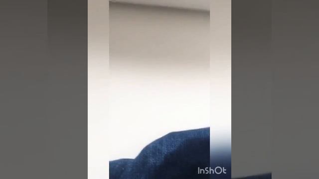 ОЙ ! БЕДА! ЖВАЧКА . смотреть онлайн