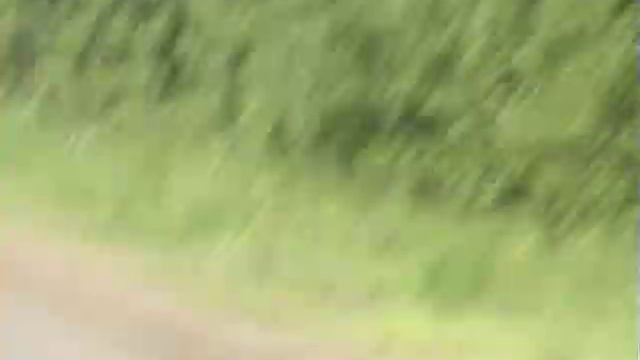 Трасса Котельнич-Свеча смотреть онлайн