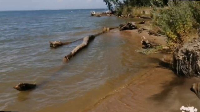НОВОСИБИРСКОЕ ВОДОХРАНИЛИЩЕ! смотреть онлайн