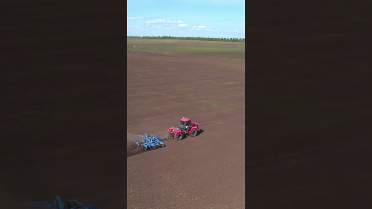 Наше хозяйство - огород города Казани #фермер #сельхозтехника #сельскоехозяйство #фермер смотреть онлайн