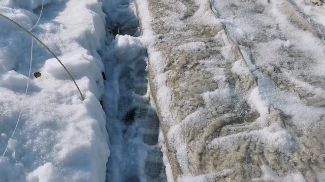 Ура!!!! Достаём рассаду!!! как хранить рассаду земляники зимой!!! смотреть онлайн
