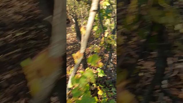 Белогоровка, Луганська Область/Belohorivka, Luhansk Region. 12.10.2022 смотреть онлайн
