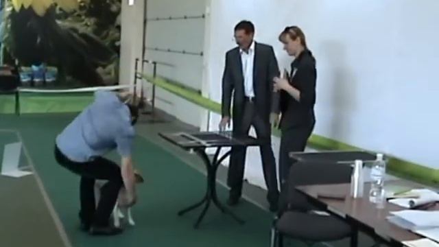 Выставка 2012 смотреть онлайн
